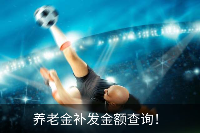 养老金补发金额查询！